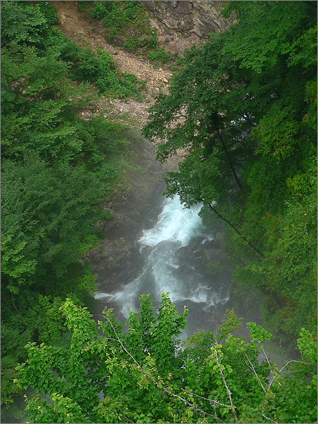 photo "run away water" tags: landscape, forest, water