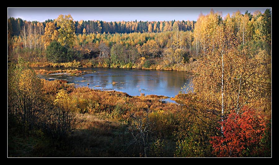 фото "***" метки: пейзаж, природа, осень, цветы