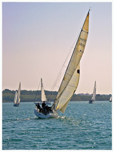 photo "Sailing" tags: misc., 
