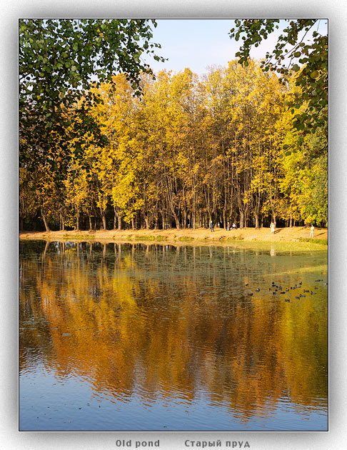 photo "Old pond" tags: landscape, autumn