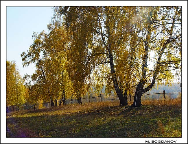 photo "Autumn" tags: landscape, autumn