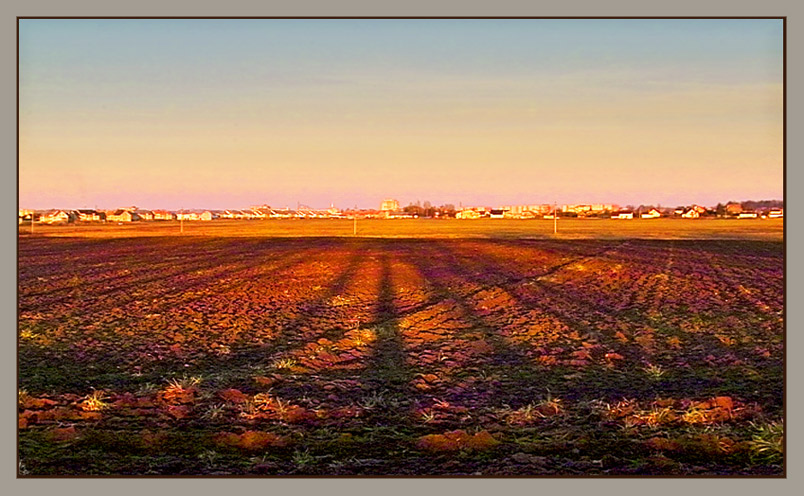photo "field" tags: misc., 