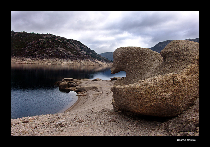 photo "forms of the nature I" tags: nature, 