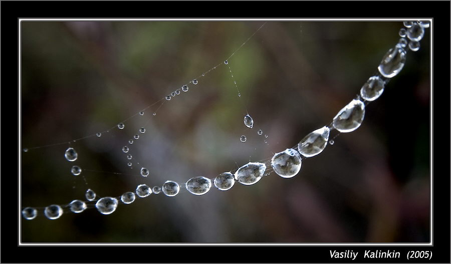 photo "Necklace for the girl about inch" tags: macro and close-up, landscape, autumn