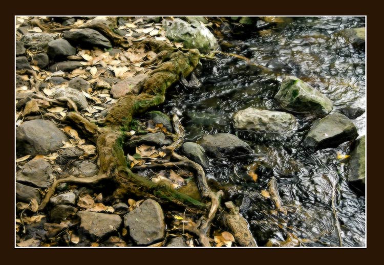 photo "Untitled photo" tags: misc., 