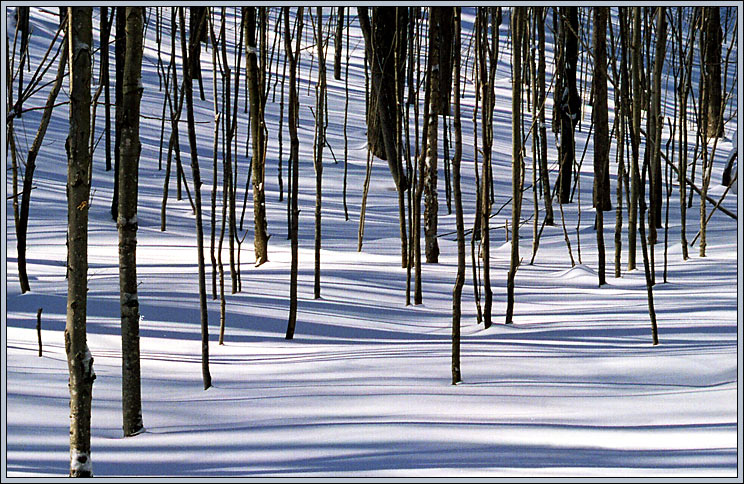 photo "HorseShoe Valley (9) 2004" tags: landscape, travel, North America, winter