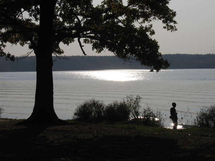 photo "Catching the sun" tags: landscape, autumn, water