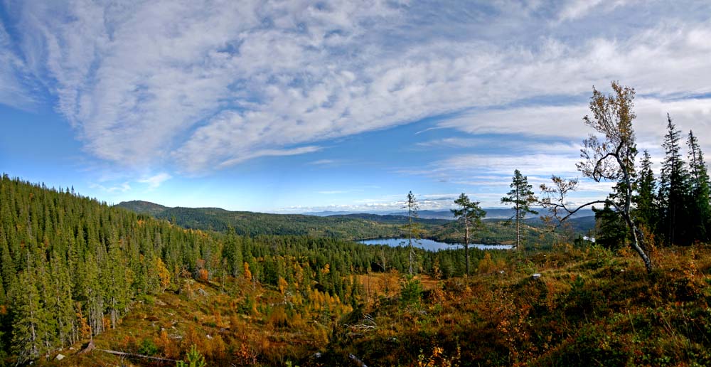 photo "Fall colours" tags: landscape, autumn