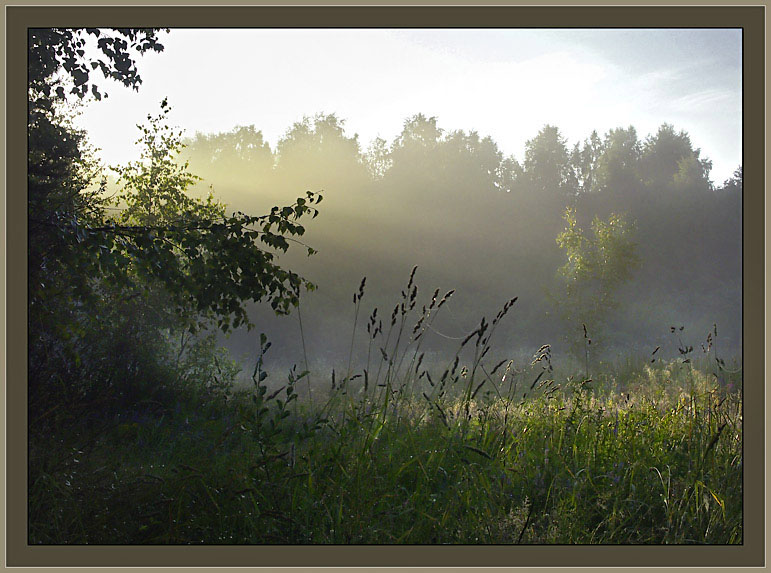 photo "Natural solarium" tags: landscape, summer