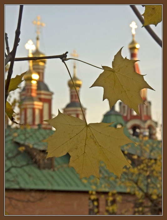 photo "Gold" tags: landscape, autumn