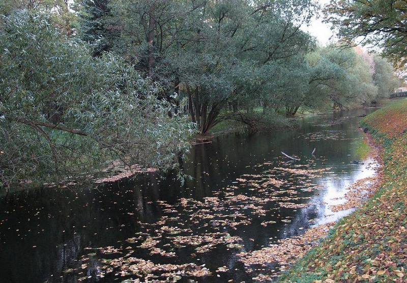 photo "Willows" tags: landscape, autumn