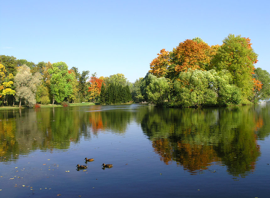 photo "Autumn symmetry" tags: landscape, autumn, water