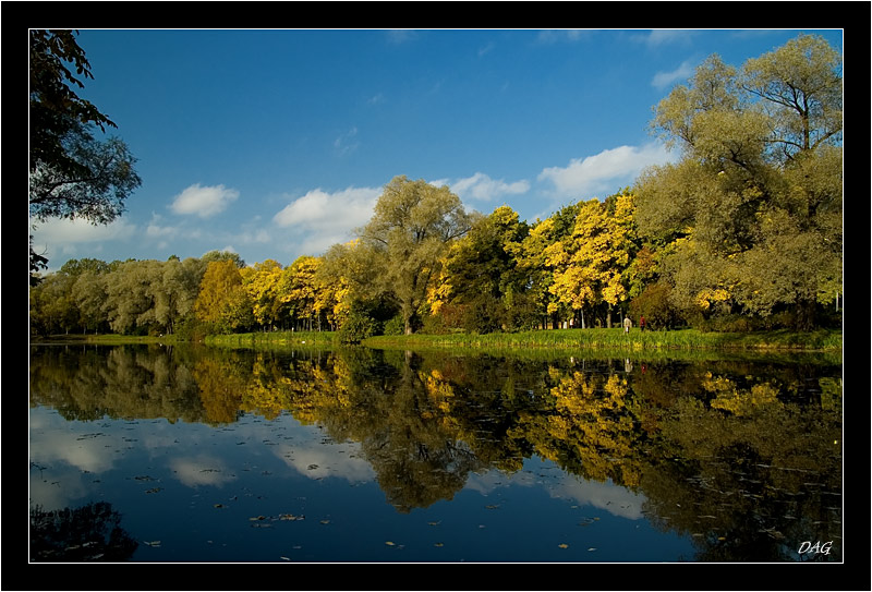 фото "Осенние мотивы" метки: пейзаж, лес, осень