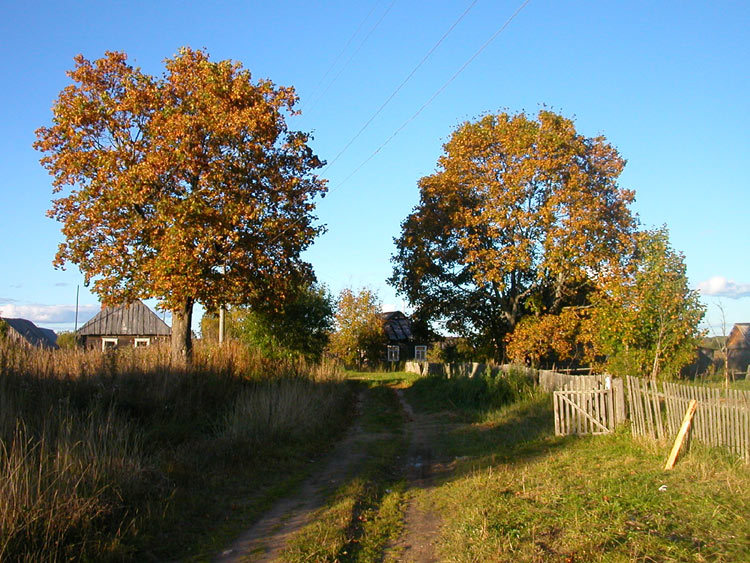 photo "Just a landscape" tags: landscape, autumn