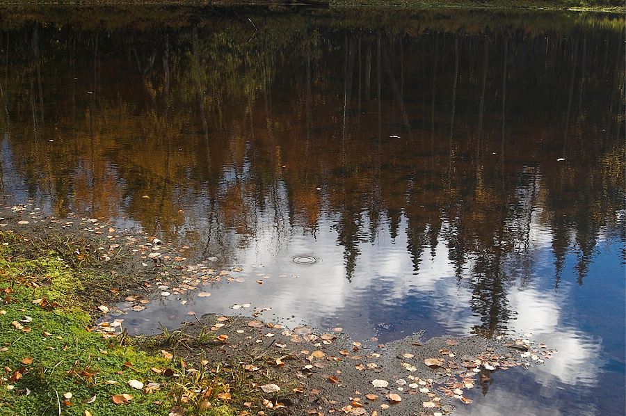 photo "Mirror" tags: landscape, autumn, water