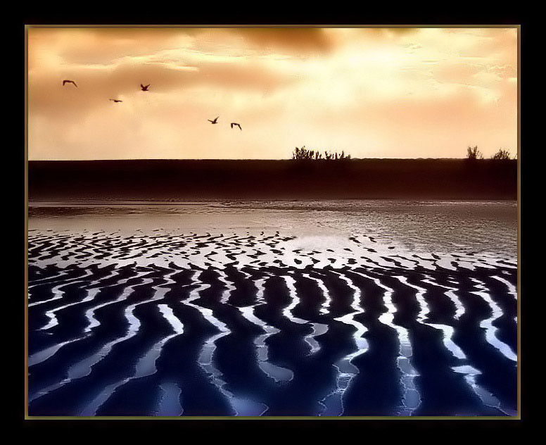 фото "wet pattern" метки: пейзаж, вода, закат