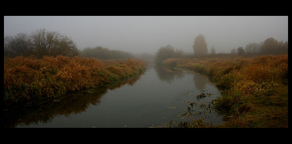 photo "Foggy coast" tags: landscape, autumn, forest