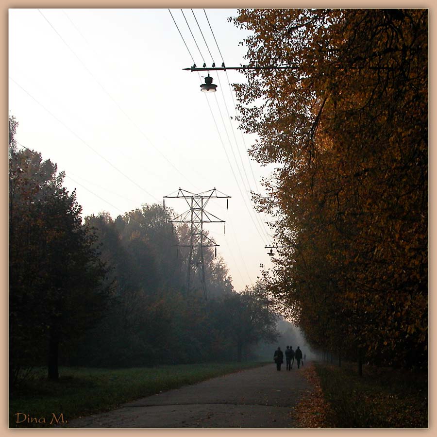 photo "On road for work" tags: landscape, genre, autumn