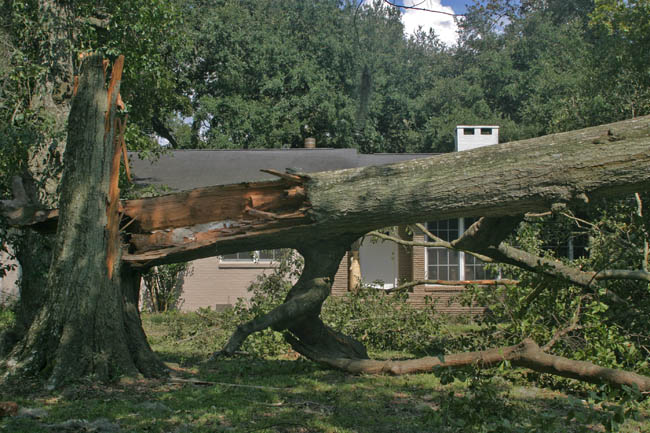 photo "Wrath of katrina" tags: reporting, landscape, 