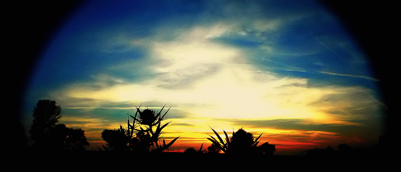 photo "Вечерние краски/Evеning colours/" tags: misc., landscape, sunset