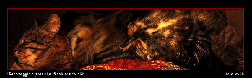 photo "Caravaggio's pets" tags: portrait, 