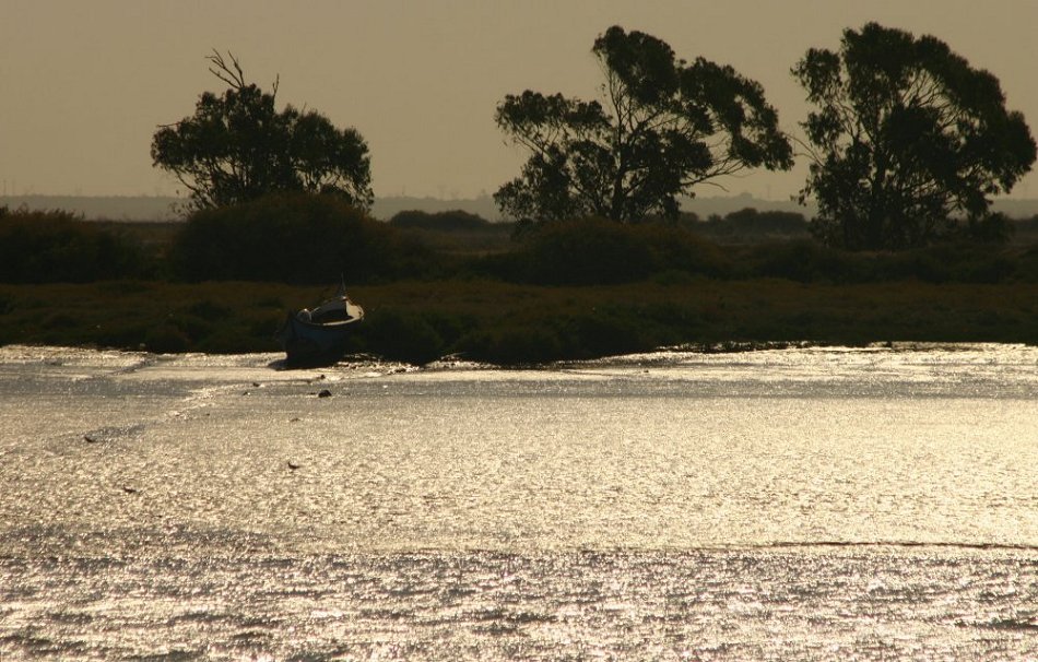 photo "Solar eclipse over the river Tejo" tags: nature, 