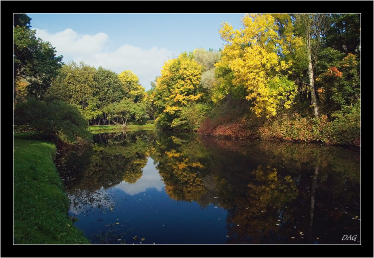 фото "Осенние мотивы #2" метки: пейзаж, лес, осень