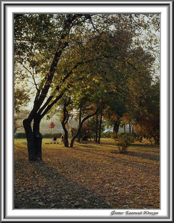 фото "Осенний этюд" метки: пейзаж, осень