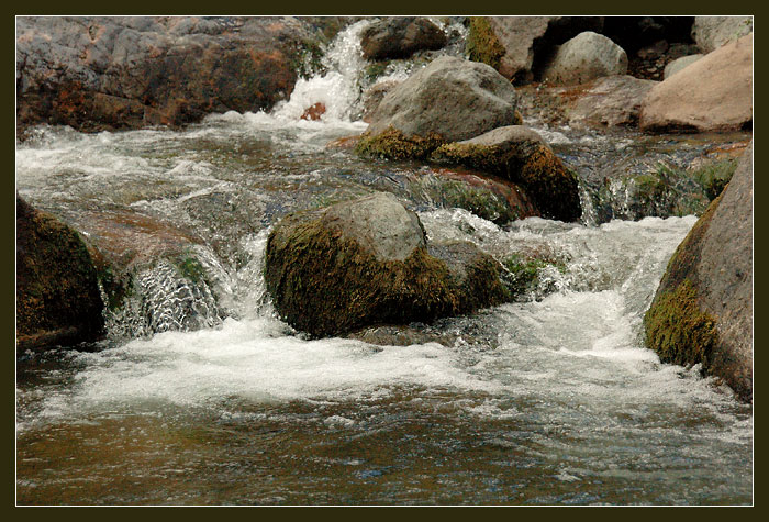 photo "Stones and water" tags: landscape, water