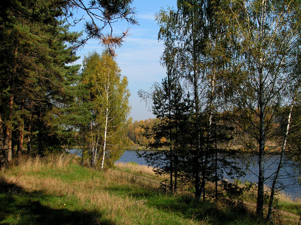 photo "AUTUMN" tags: nature, 