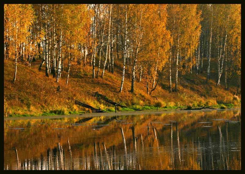 photo "osenniy peyzag" tags: landscape, autumn, forest