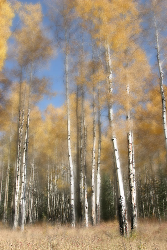 photo "Autumn in Canada" tags: landscape, travel, North America