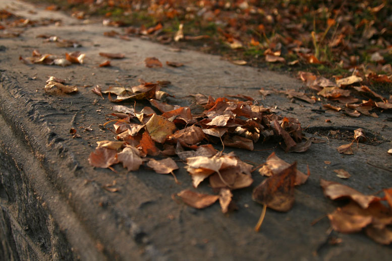 photo "****" tags: abstract, macro and close-up, 