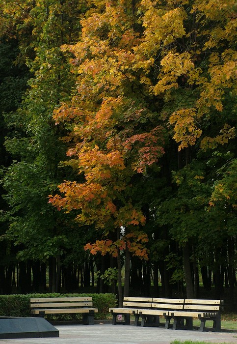 photo "Benchs" tags: landscape, autumn