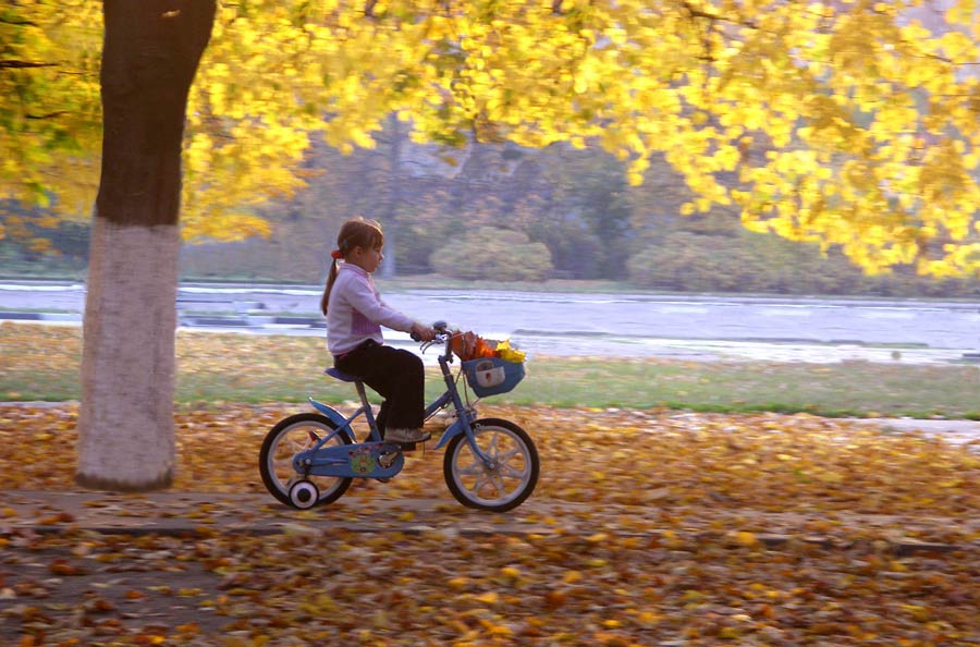 photo "Childhood.Autumn." tags: misc., 