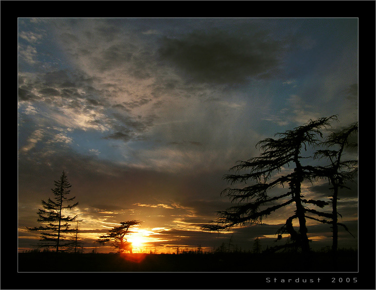 photo "Seeing Off The Sun" tags: landscape, forest, sunset