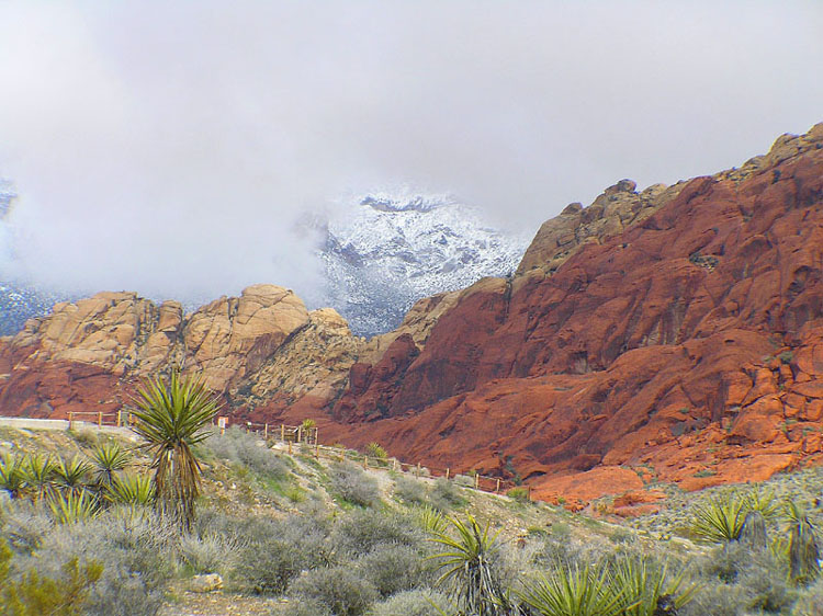 фото "Red Rock Canyon Nevada" метки: путешествия, Северная Америка
