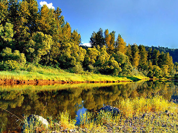 photo "*Watercolor*" tags: nature, landscape, autumn