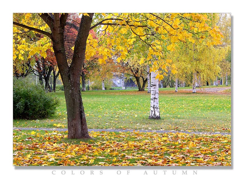 photo "Colors of autumn" tags: landscape, autumn