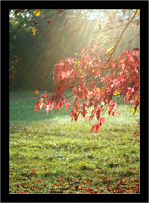 photo "Morning" tags: landscape, autumn, sunset