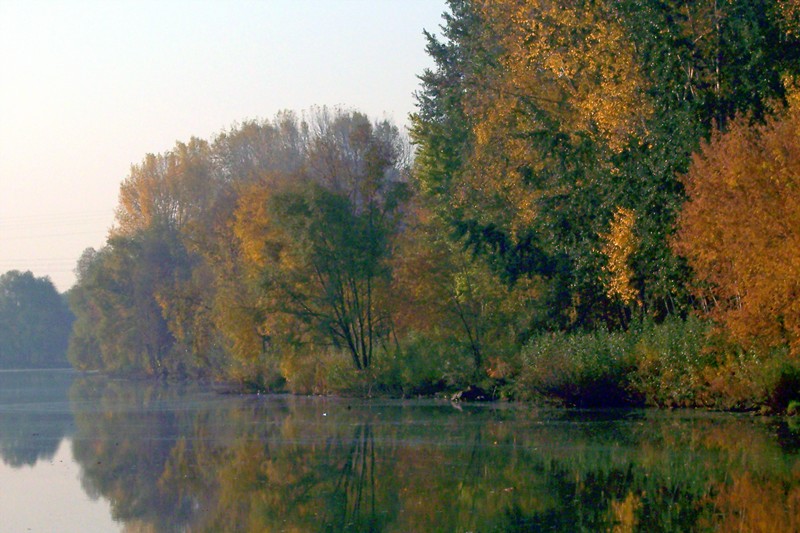 photo "First morning of october" tags: landscape, autumn, water