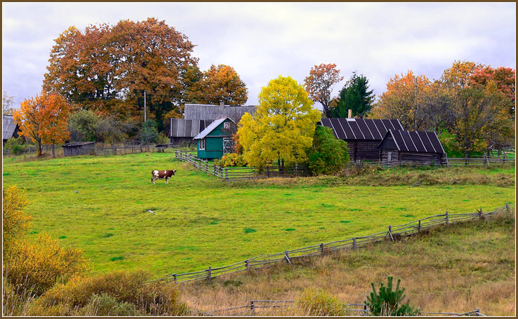 photo "In the autumn in village #4" tags: landscape, autumn