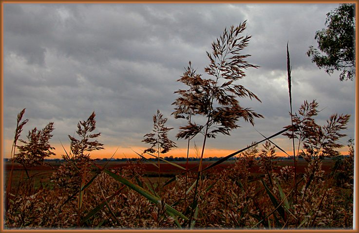 photo "October soul" tags: nature, landscape, autumn, flowers