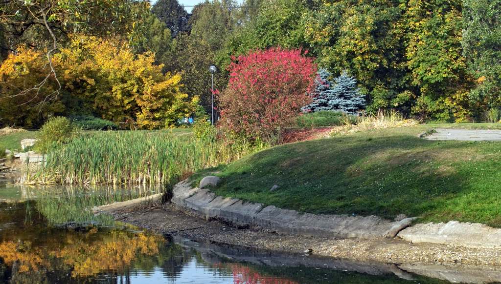 фото "Краски уходящего лета" метки: природа, пейзаж, осень, цветы