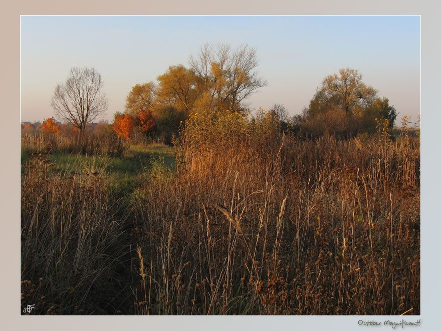 photo "October Magnificent!" tags: landscape, nature, autumn