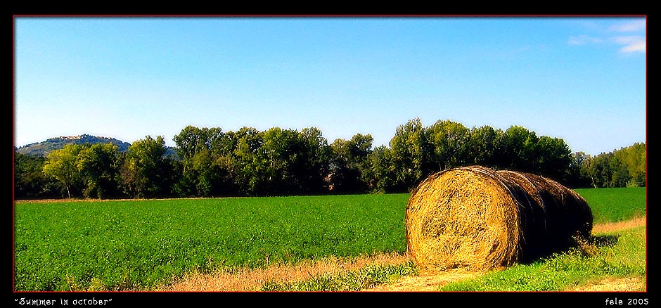 photo "Summer in october" tags: landscape, forest