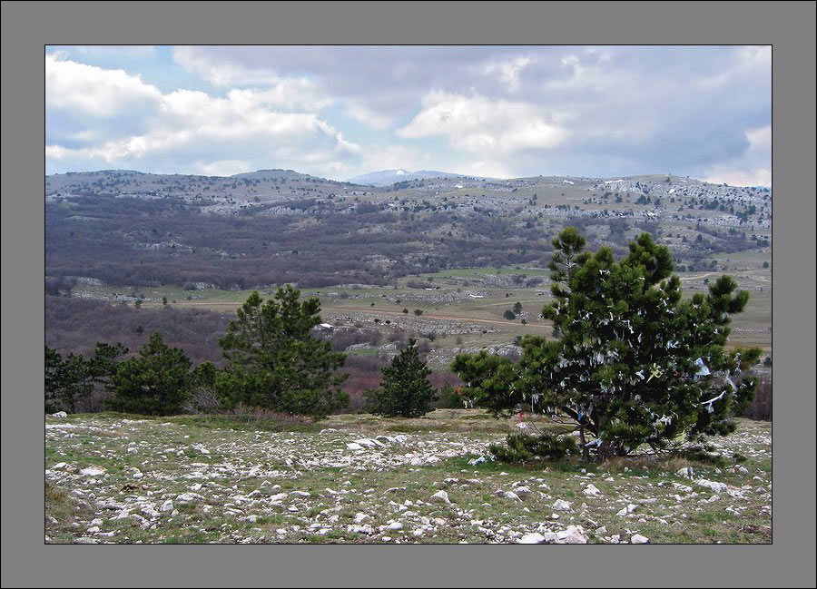 photo "At top of mountain Aj-Petri. Crimea." tags: landscape, travel, Europe, mountains