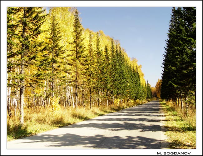 photo "The Sun way" tags: landscape, autumn, forest