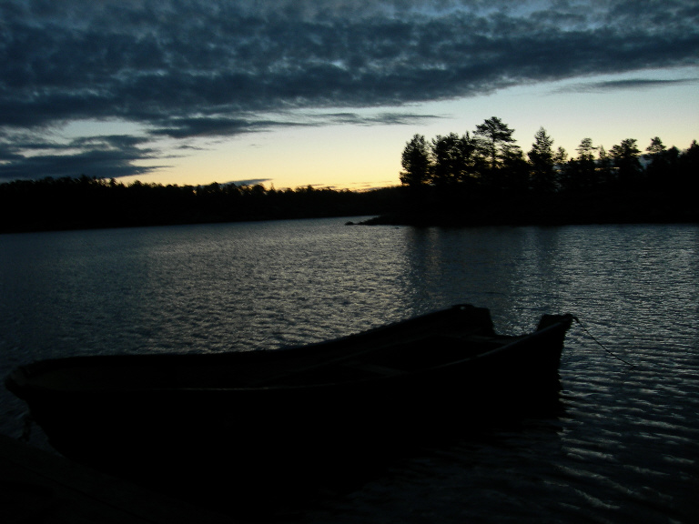 photo "Night" tags: landscape, forest, night