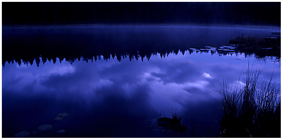 photo "Blue night" tags: landscape, nature, night